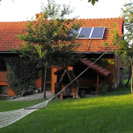 Agroturystyka Zacisze Czarna Owca Brzezanka Buitenkant foto