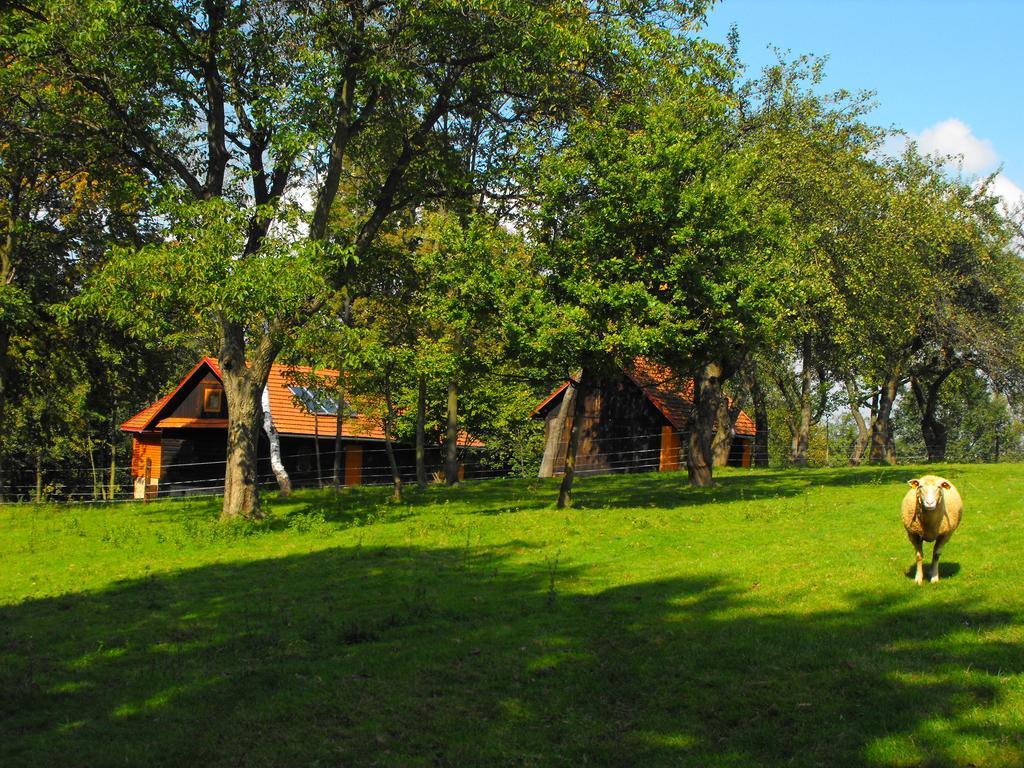 Agroturystyka Zacisze Czarna Owca Brzezanka Buitenkant foto