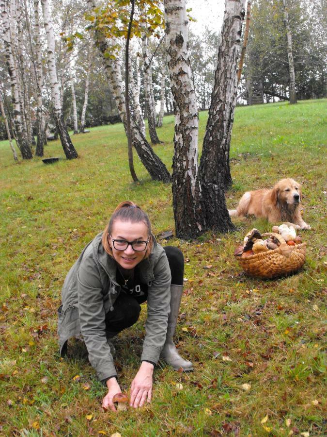 Agroturystyka Zacisze Czarna Owca Brzezanka Buitenkant foto